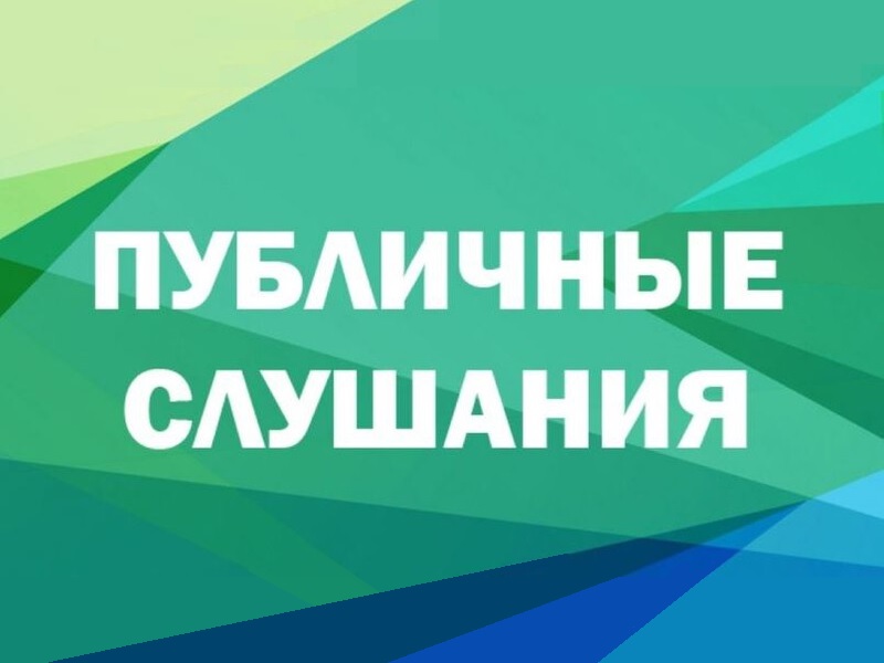О проведении публичных слушаний по годовому отчету об исполнении бюджета сельского поселения «Низовское» Вельского муниципального района Архангельской области за 2024 год.